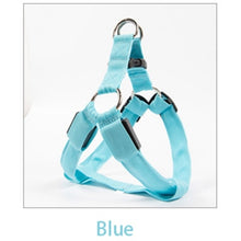 Load image into Gallery viewer, LED Glowing Safety Collars