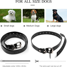 Load image into Gallery viewer, PupPulse™  4 in 1 Electric Dog Training Collar
