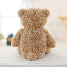Load image into Gallery viewer, Peek-A-Boo Bear
