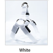 Load image into Gallery viewer, LED Glowing Safety Collars
