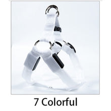 Load image into Gallery viewer, LED Glowing Safety Collars

